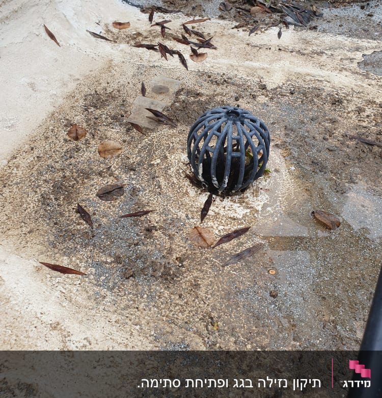 ניקוז גג עם עלים ולכלוך מסביב